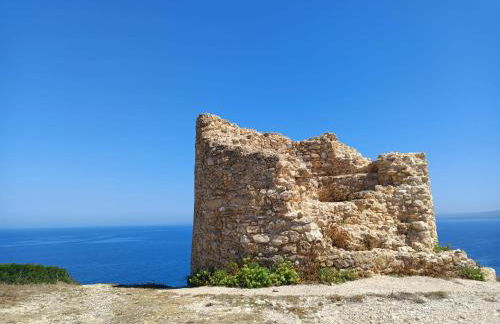 Da Tziu Efisiu Mare e Relax nel Sinis - Foto 49