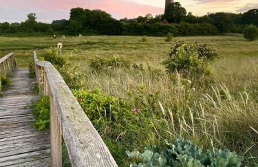 Holzhütte Ole zw. Meer & Wald mit Kamin & Sauna - Foto 26