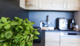 Sternenblick Lodge, im Harz, mit Schwimmbad und Sauna - Foto 2