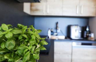 Sternenblick Lodge, im Harz, mit Schwimmbad und Sauna - Foto 2