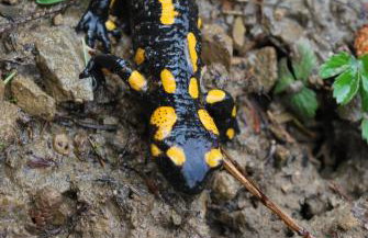 Apartamenty u Grażyny - Foto 32