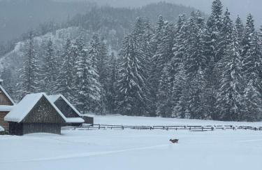 WHITE BROOK Luxury Chalets with Jacuzzi - Dolina Chochołowska - Kościelisko - Zakopane - Tatry - Foto 4