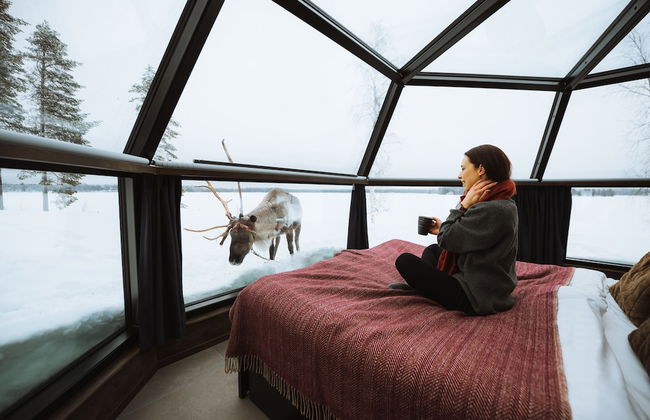 Ranua Resort Arctic Igloos - Foto 10