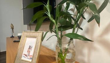 Apto Conforto Av Rio Verde C Ar Cond Wi-Fi garagem - Foto 3