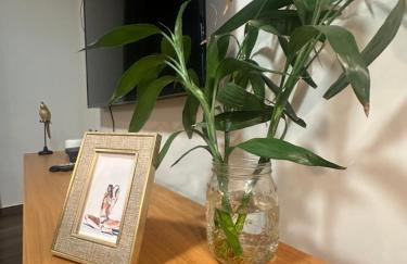 Apto Conforto Av Rio Verde C Ar Cond Wi-Fi garagem - Foto 3