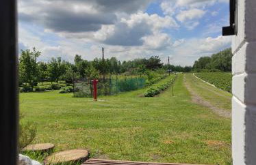 Agroturystyka Kobylnica nad Wisłą - Foto 53