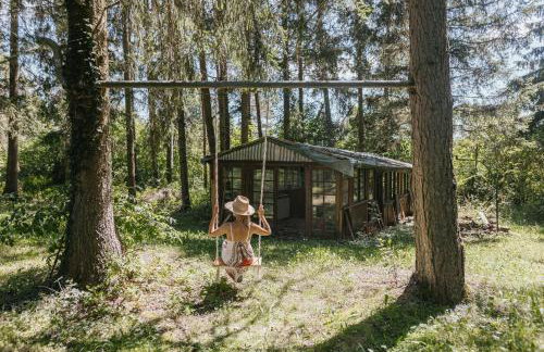 Waldmaise - Foto 12