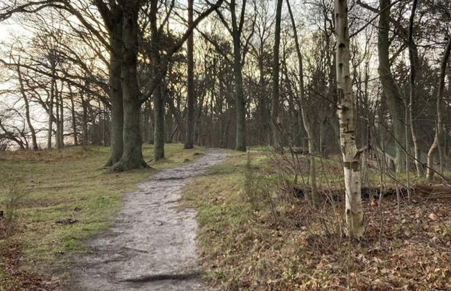 4 Person Holiday Home in Faxe Ladeplads-by Traum - Foto 18