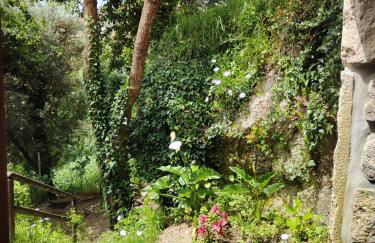 A Casa da Japoneira CB - Foto 24