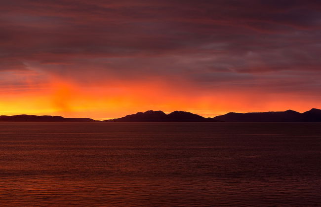 Swansea Beach Chalets - Foto 44