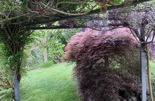 Vill'Ariel Sport & Relax - Foto 23