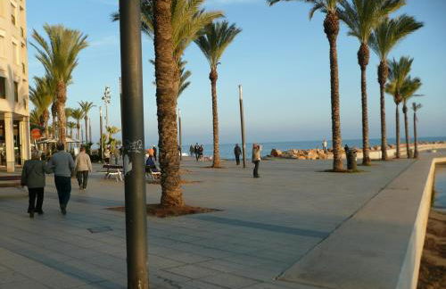 Torrevieja - LaMata - Sonny - Foto 33