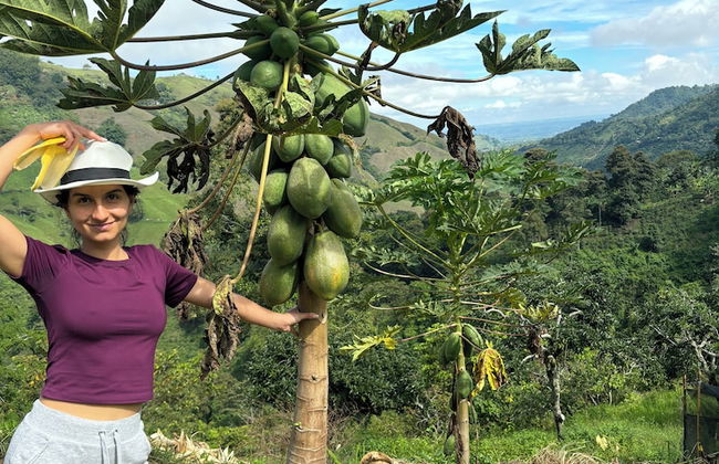 Finca La Macarena by Welttisch - Photo 64