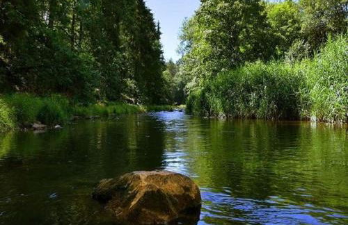 Villa Rotschoenberg im Tal der Freiberger Mulde - Foto 30