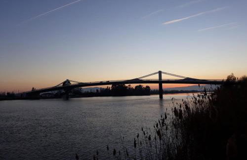 L´apartament de la Iaia - Foto 15