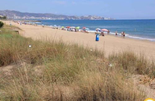 Appartement Tavernes de la Valldigna 4p - Foto 48