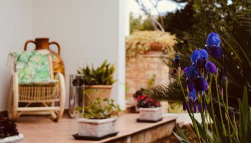 Maison Luigi - Casa Vacanze1 - Foto 2, Garden