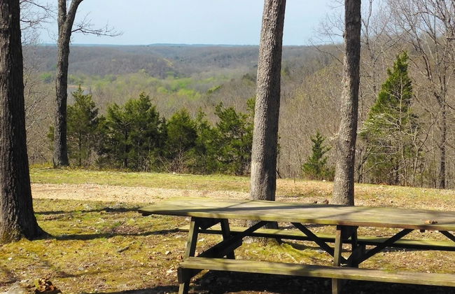 Rock Eddy Bluff Farm - Photo 34