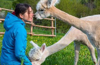 Pastelova Krova - domki w Bieszczadach - Foto 45