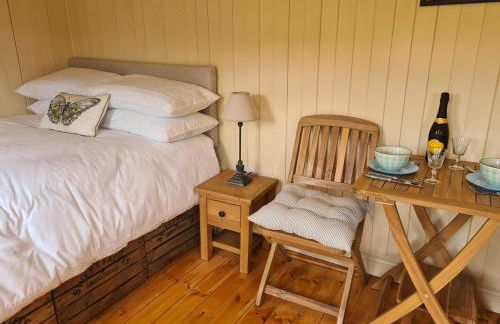 Shepherd's Hut in heart of the Brecon Beacons - Photo 20