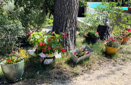 La Pujauline - Photo 18