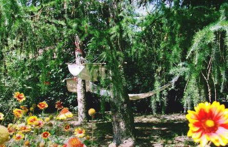 Agroturystyka Pod Modrzewiami - Foto 63