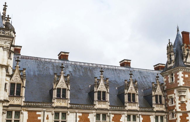 Spettacolo di luci e suoni nel Castello di Blois - Foto 1