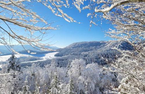 Ferienwohnung Albliebe - Foto 21