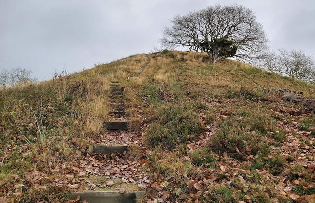 8 Person Holiday Home in Gjern-by Traum - Photo 5