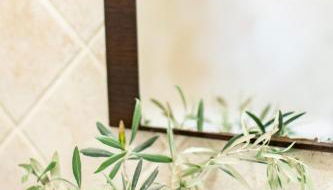 Finca Navalpino a 900 m de Puy du Fou - Foto 3