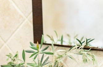 Finca Navalpino a 900 m de Puy du Fou - Foto 3