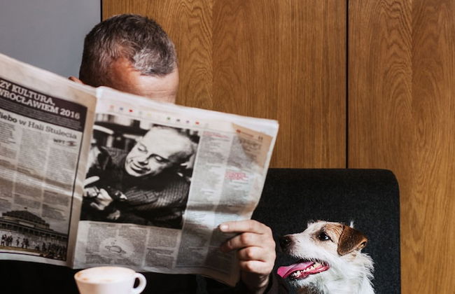 Aparthotel Invite - Foto 40