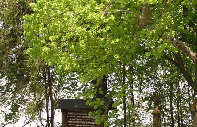 Cozy Apartment in Wilsecker near Forest - Photo 8