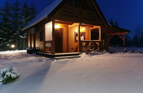 Domki Borowiackie nad brzegiem jeziora - Foto 43