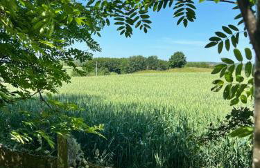 Przystanek Prawdowo - Foto 75