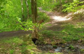 Ferienwohnung Jenny Edersee - Foto 16