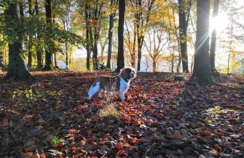 Bowkett Cottage - Foto 25