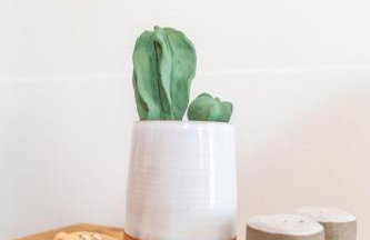 Apopsis Tinos Square - Foto 35