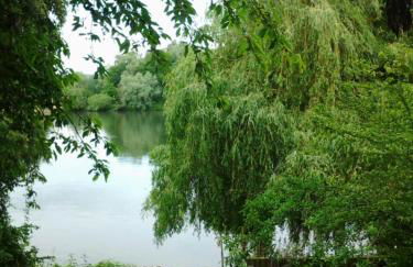 Les Seringats - Foto 35