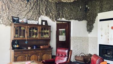 Stara Szkoła - Foto 4