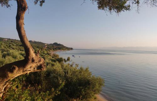 ArokariApartments - Foto 75