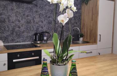 Apartament Pod Orzechem - Foto 1