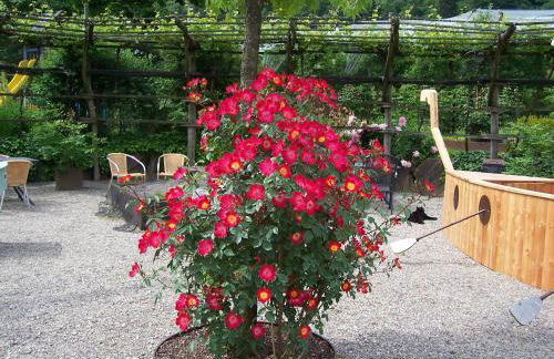 St. Ulrichhof - Photo 17