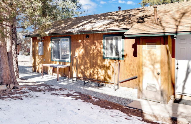 Sugar Bear Crossing #2496 - Foto 18