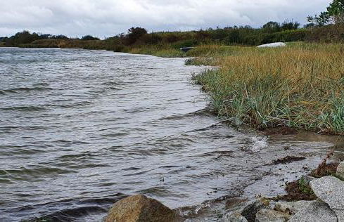 Glewitz Am Alten Fährhaus - Foto 43