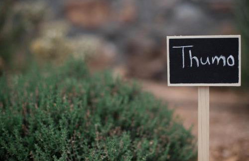 Halcyon Panorama Villas - Foto 44