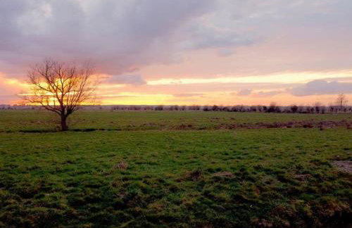 2 Bed in Reedham oc-2378 - Foto 20