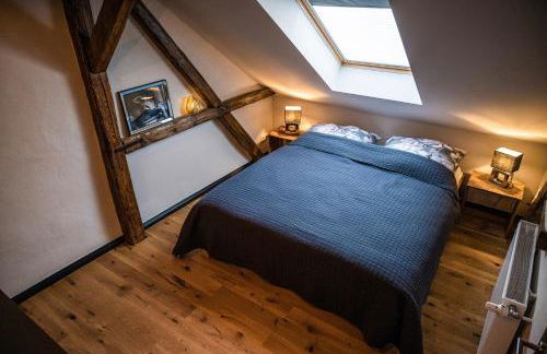 Rheinfreunde Bingen - Foto 6