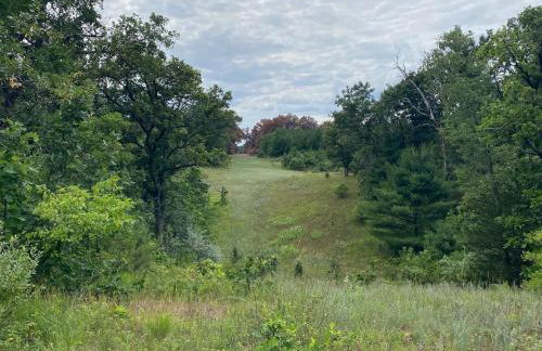 Cabin in the woods with fire pit and porch - Foto 61