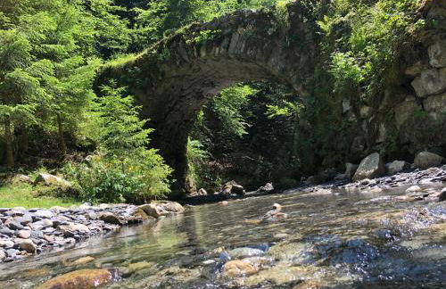 Le Moulin des Olirics - Photo 77